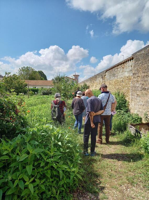 Potager du Roy