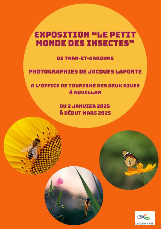 Exposition "Le petit monde des insectes" de Tarn et Garonne_Auvillar