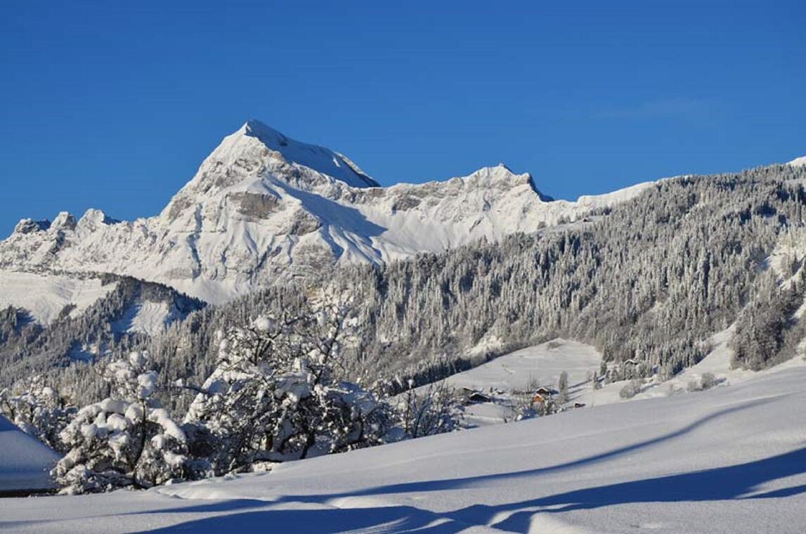 Vue sur le Mont-Charvin de Notre Dame de Bellecombe