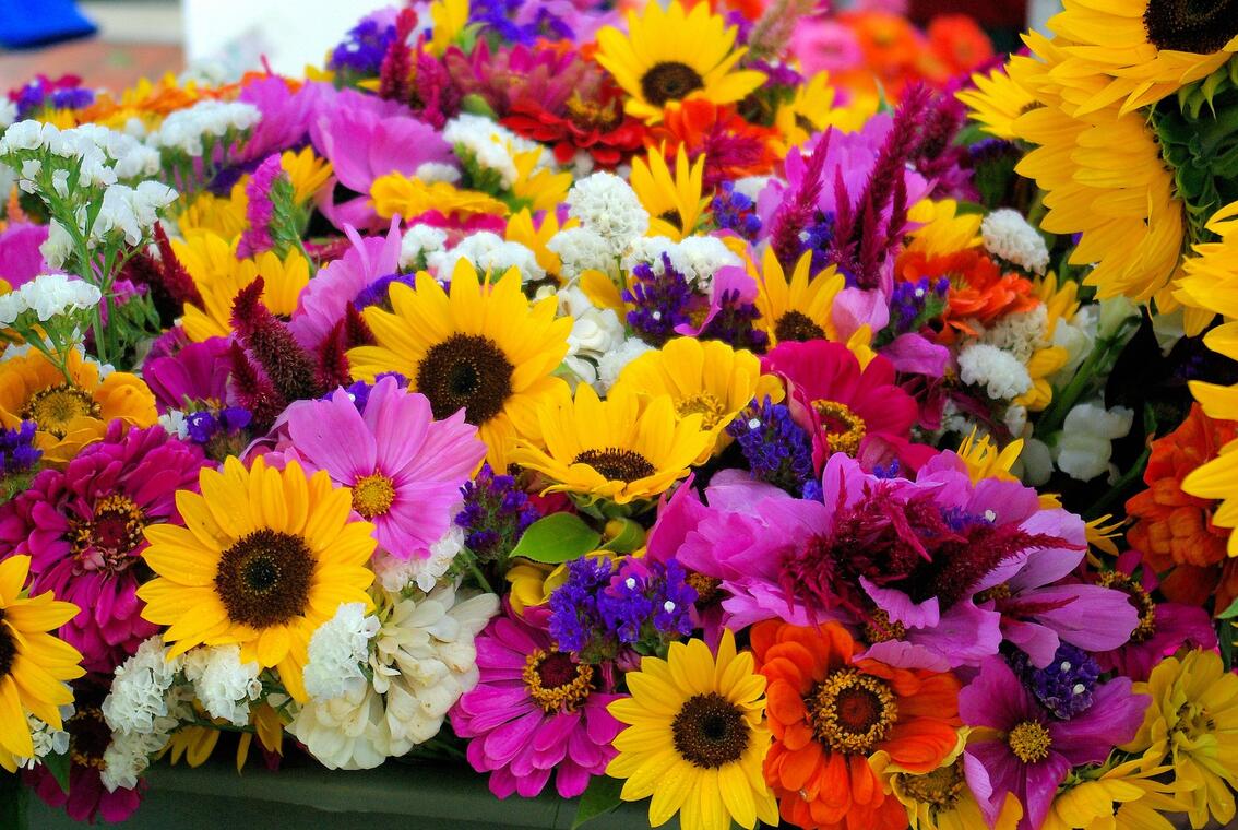 Marché au fleurs et plantes