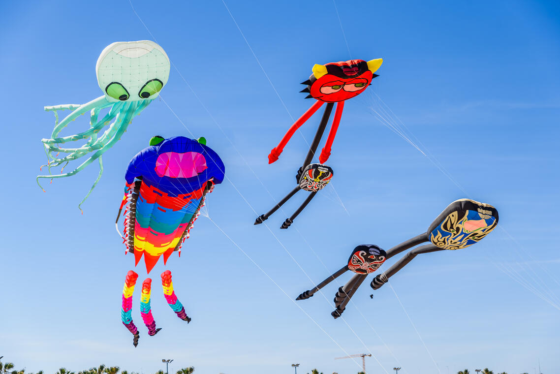 Viens tester ton cerf volant_Vars