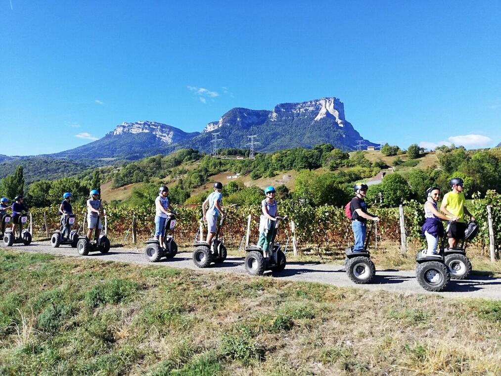 Balade dans les vignobles