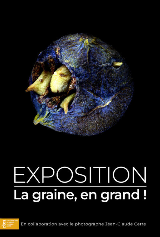 Festival Lignes de Crêtes : Soirée d'ouverture - vernissage de l'exposition "La graine, en grand!"_Chabottes