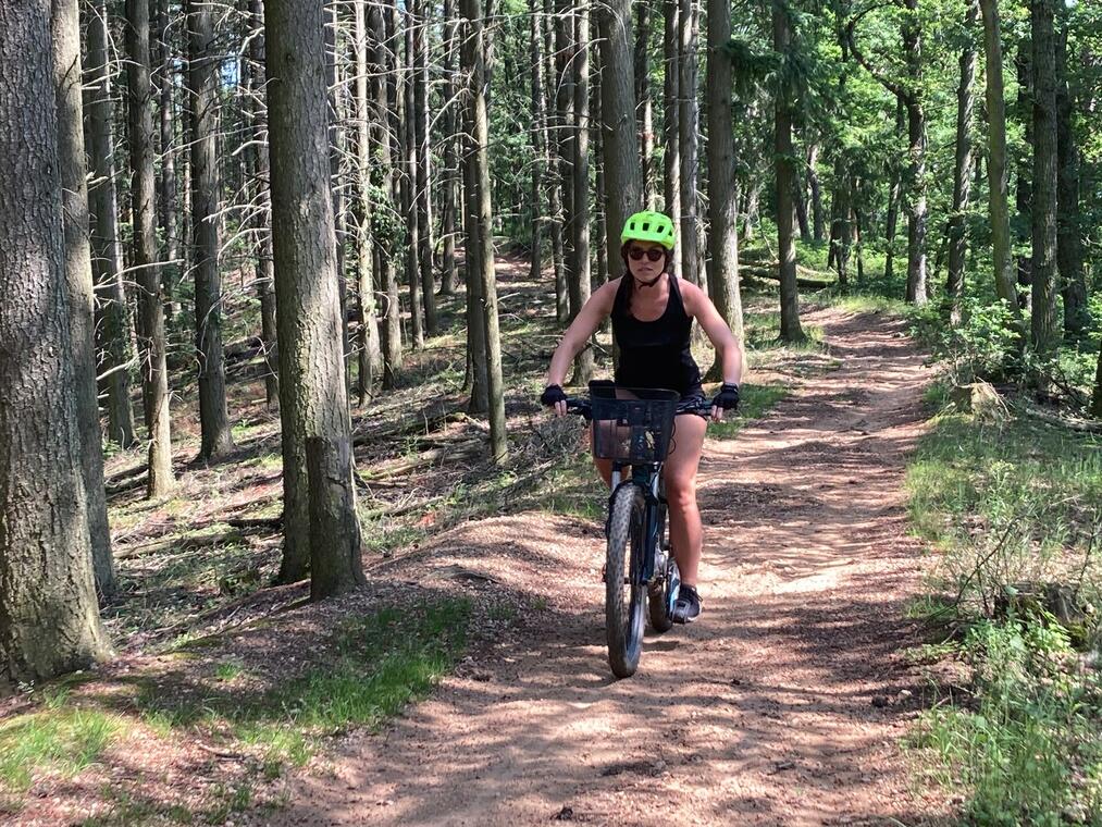 VTT dans la forêt