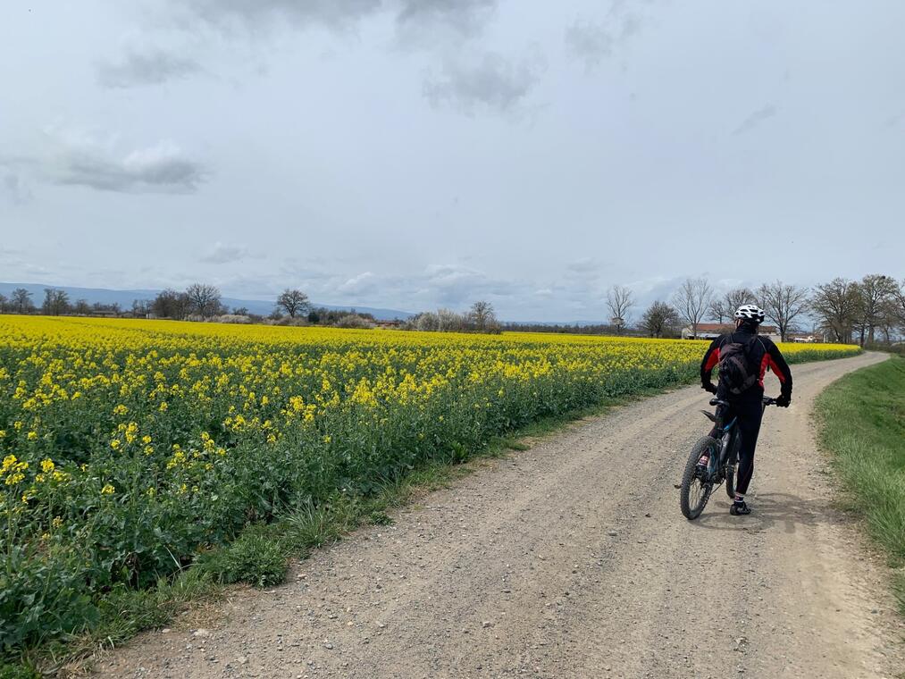 La voie verte en VTT