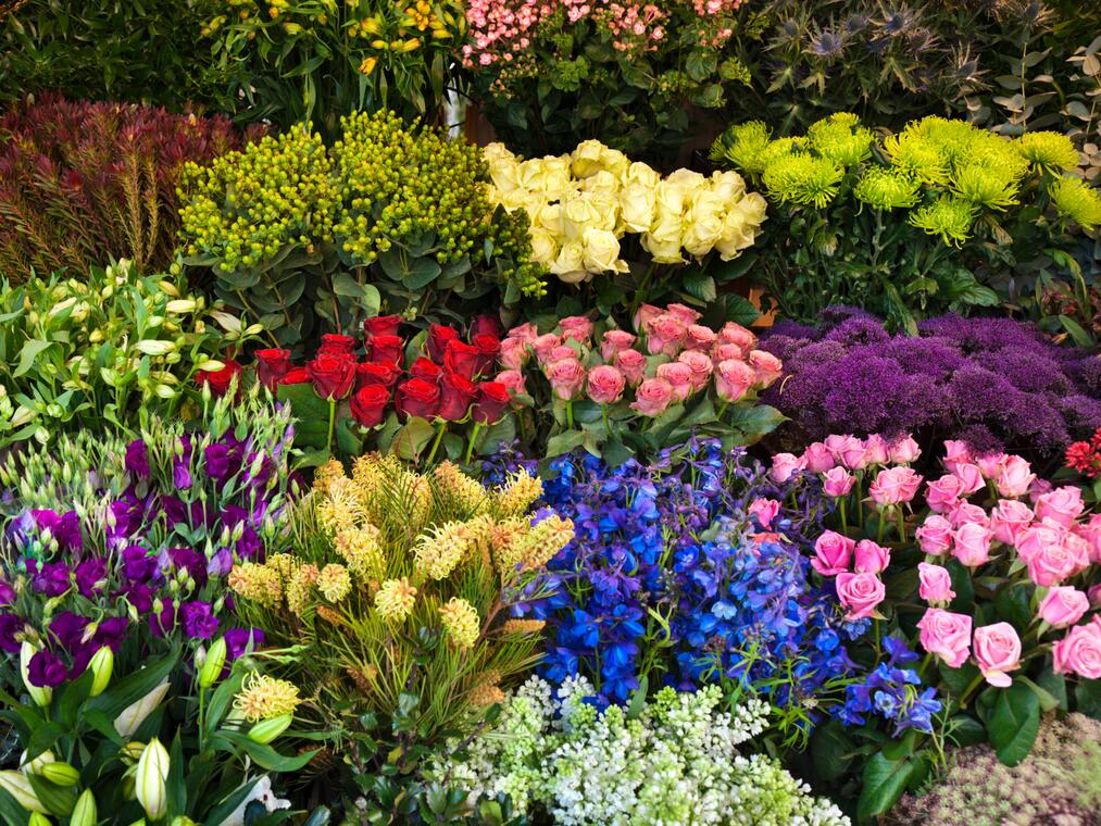 Marché aux fleurs_Salt-en-Donzy