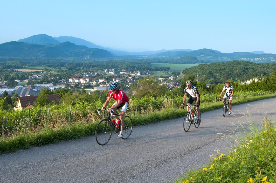 Road cycling route Tour du lac du Bourget Belley bugeysud