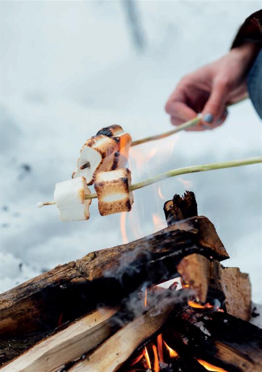 Soirée feu de camp_Le Collet