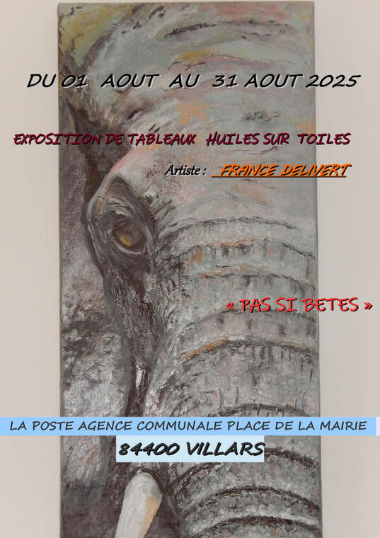 affiche villars