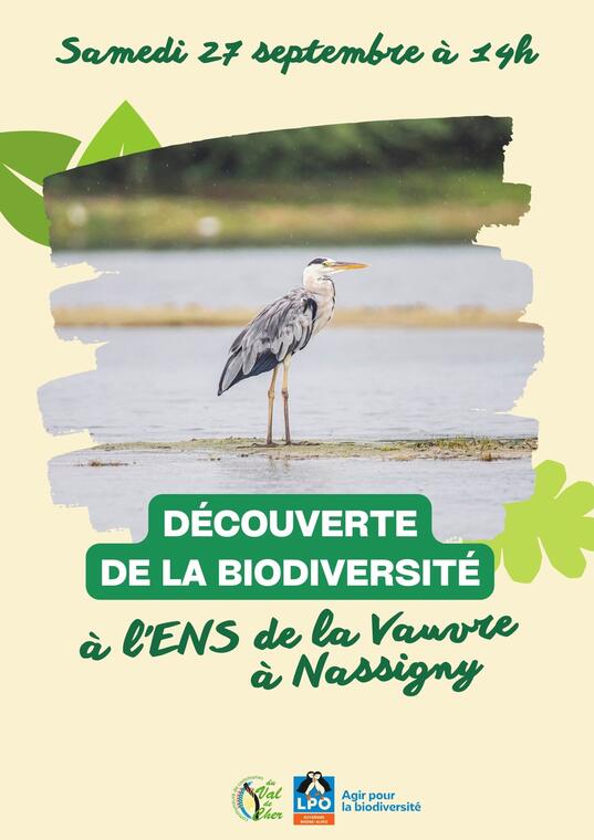 Sortie découverte de la biodiversité
