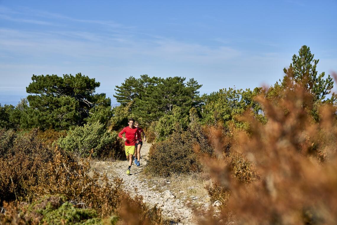 Trail Bédoin