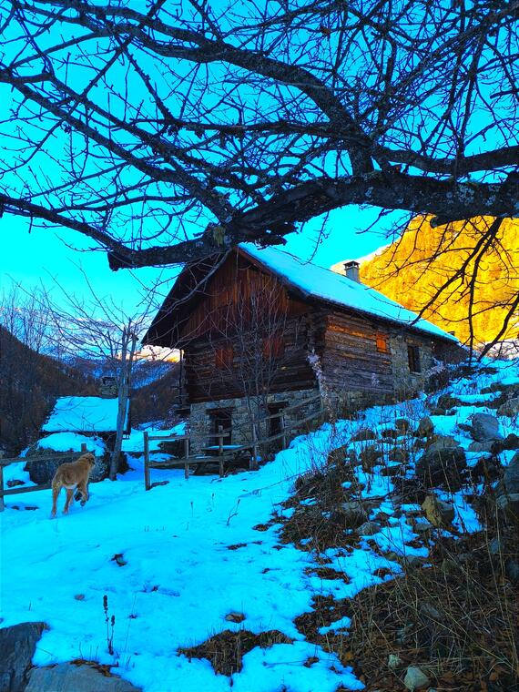 La marmotte en balade : Narreyroux_Puy-Saint-Vincent