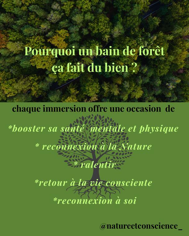 Bénéfices d'un bain de forêt