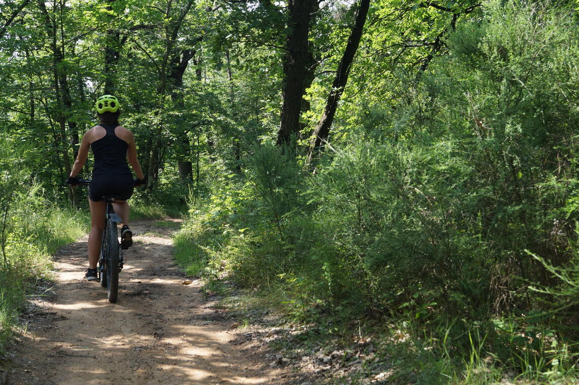 Par monts, vaux et forêts