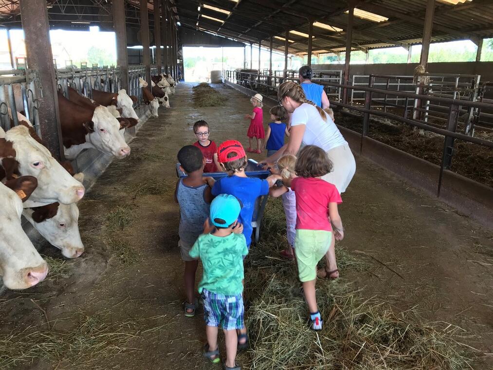 Visite de la ferme