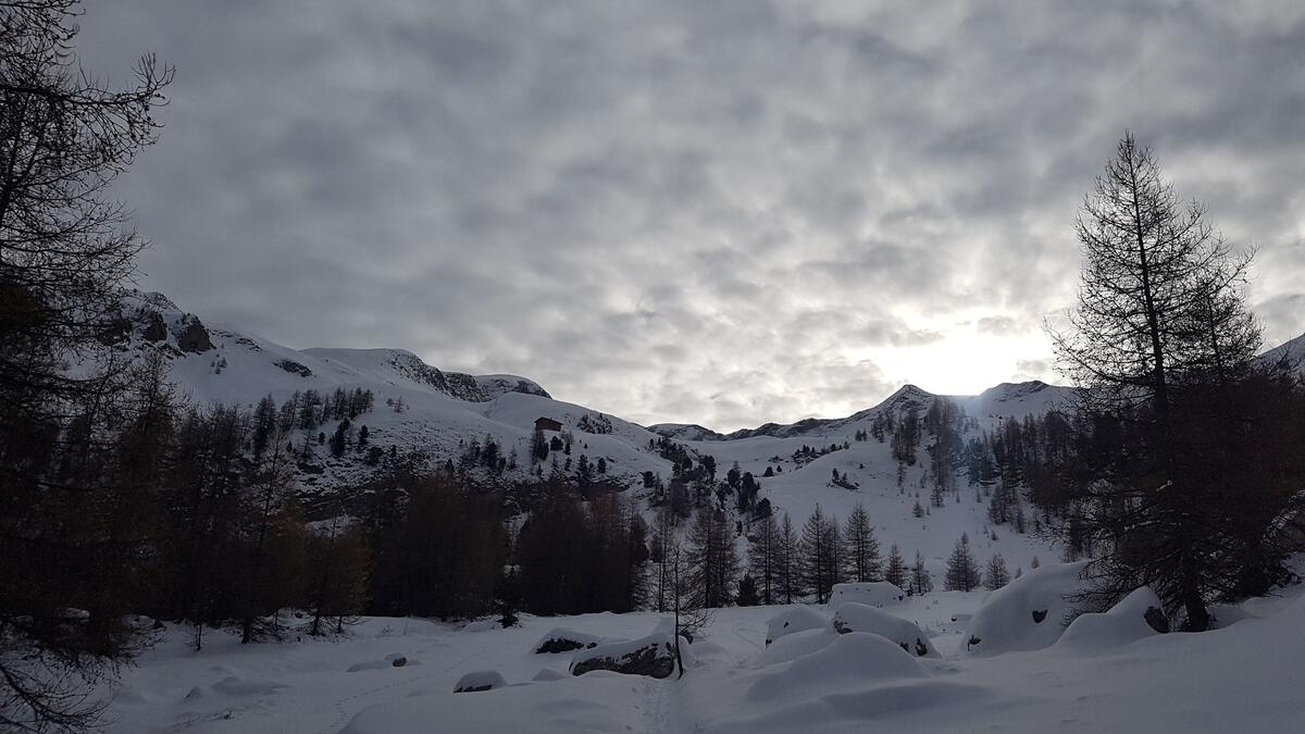 Balade gourmande à Ancelle_ Accompagnateurs en Montagne Champsaur Valgaudemar