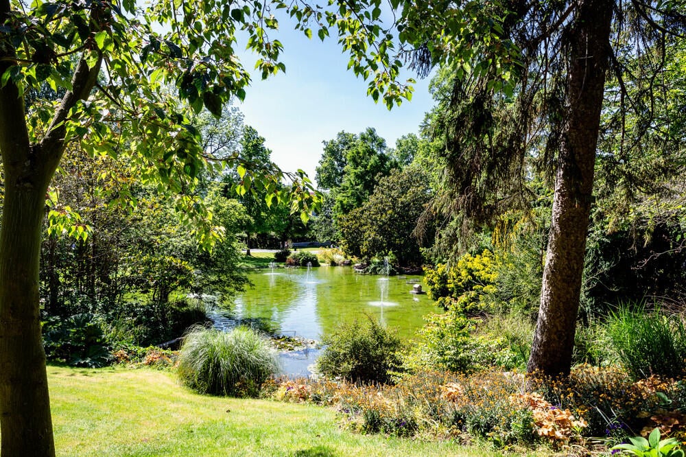 Jardin des Plantes