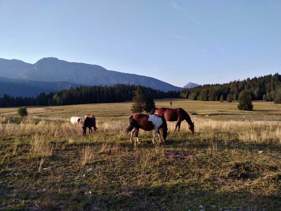 Plateau de l'Arselle - Chamrousse