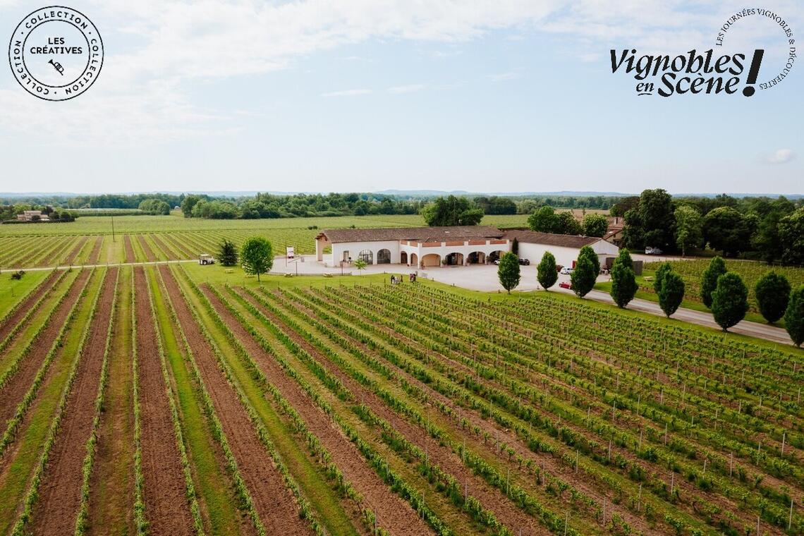 Jeu de piste dans les vignes suivi d'une dégustation - "Vignobles en scène"_Albias