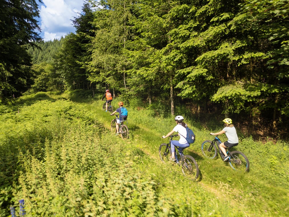 Balade en VTT au cœur des Grands Murcins à Arcon