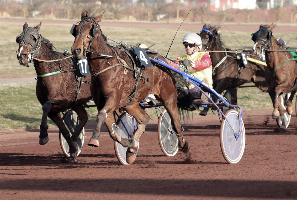 courses hippiques Saint-Galmier