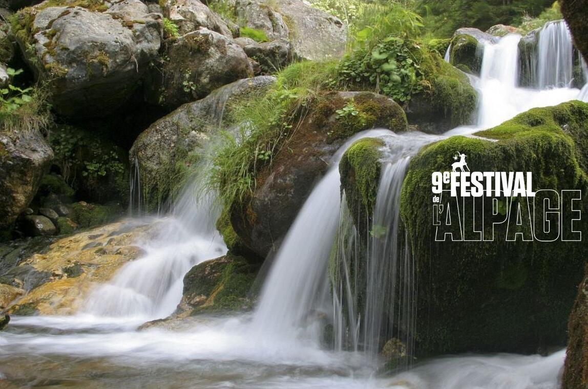 Festival de l'Alpage : Randonnée à l'aube_Saint-Maurice-en-Valgodemard