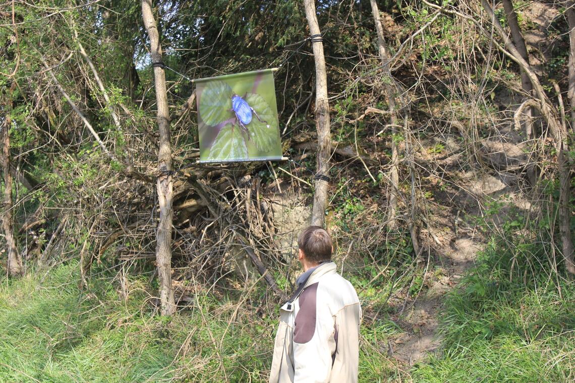 Sentier Expo de Cazes Mondenard