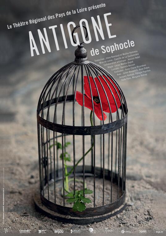 Antigone