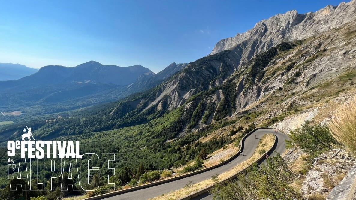 Festival de l'Alpage : À la découverte des plantes du Col du Noyer_Le Noyer