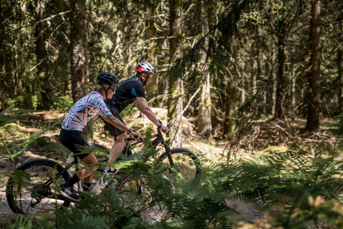 Balade en VTT à Renaison