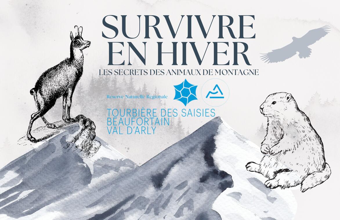 Jeu animé par la RNR "Survivre en hiver : les secrets des animaux de montagne"_Cohennoz