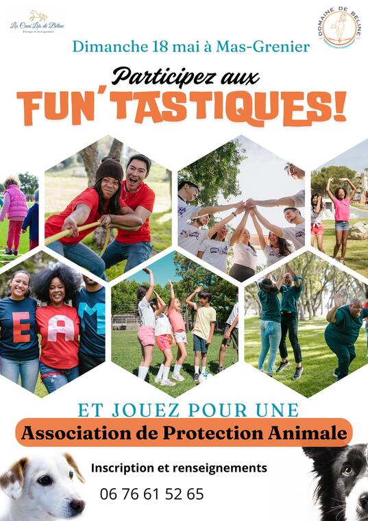 Les Fun'tastiques