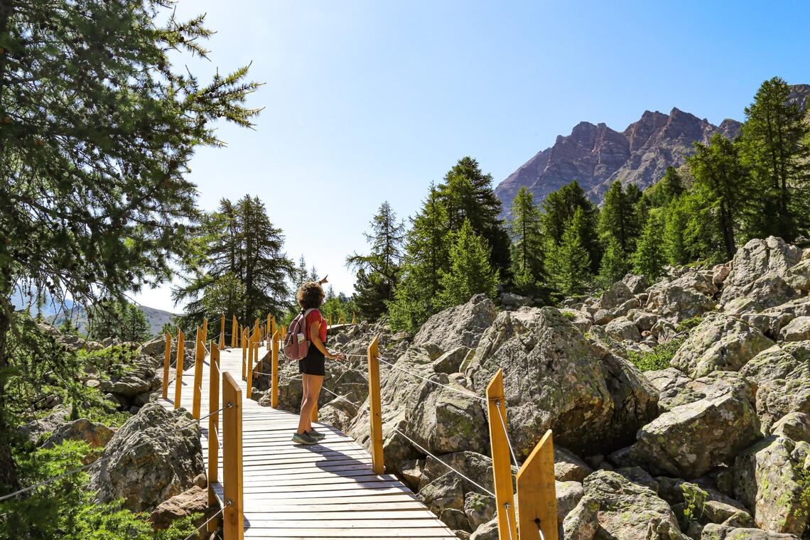 Sentier des Myrtilles