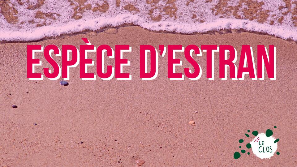 Espèce d'estran