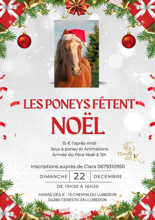 Les poneys fêtent noel_Céreste