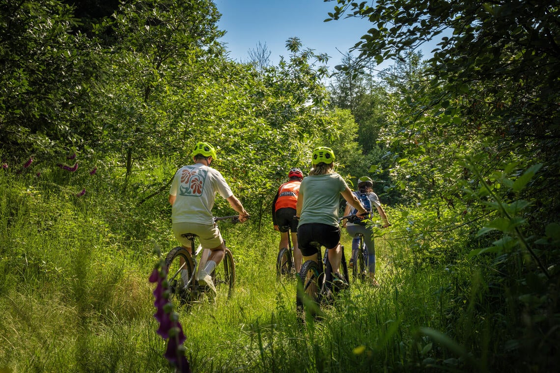 Balade VTT au cœur des Grands Murcins