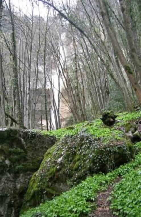 Cascade du Furet