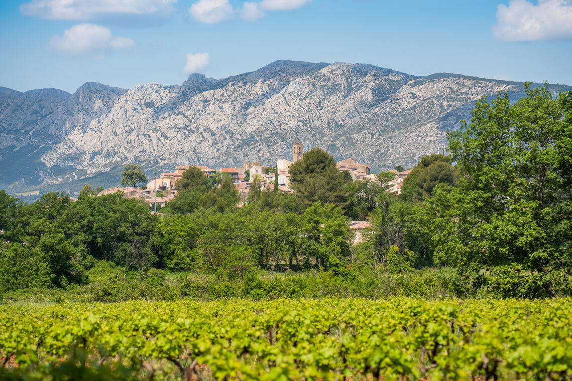 Boucle du Belvédère | Sentier Vigneron Pourrières