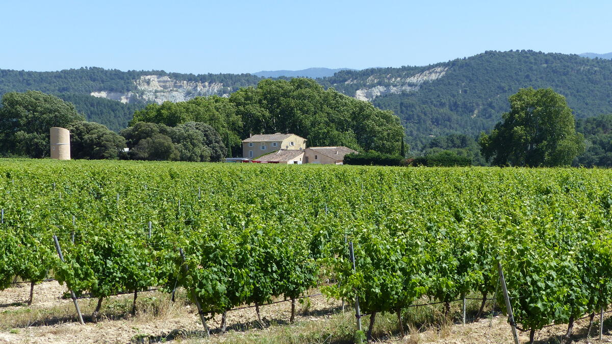 Château Grand Saint Julien