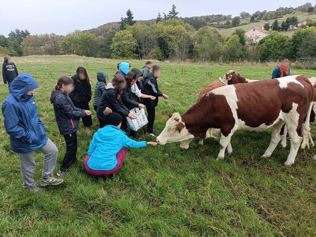 Viens visiter la ferme de Grandris_Saint-Bonnet-le-Courreau