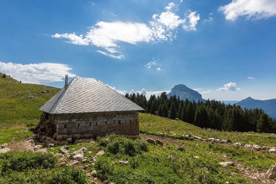 Col du Coq