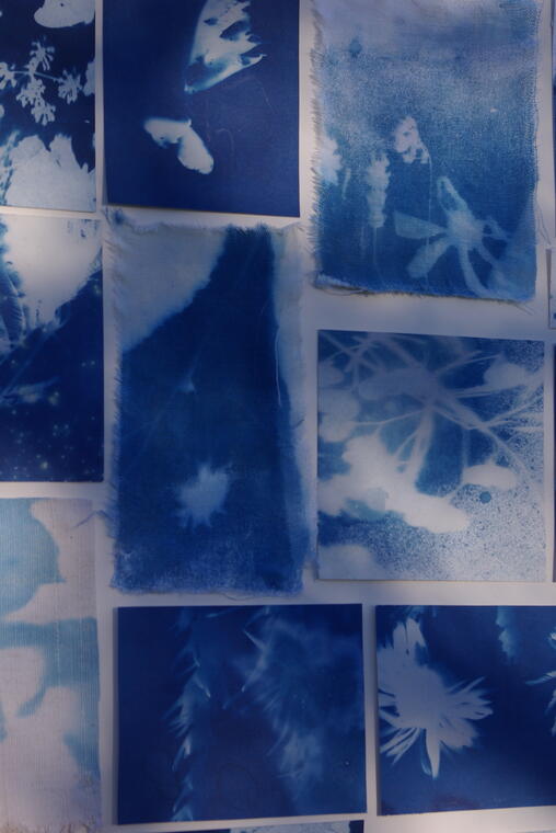 Cyanotype
