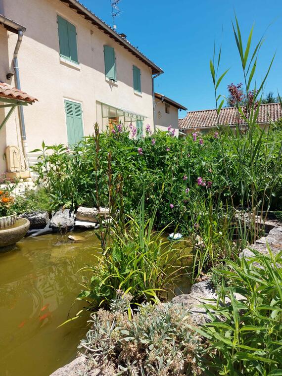 Façade et bassin a poissons et grenouilles