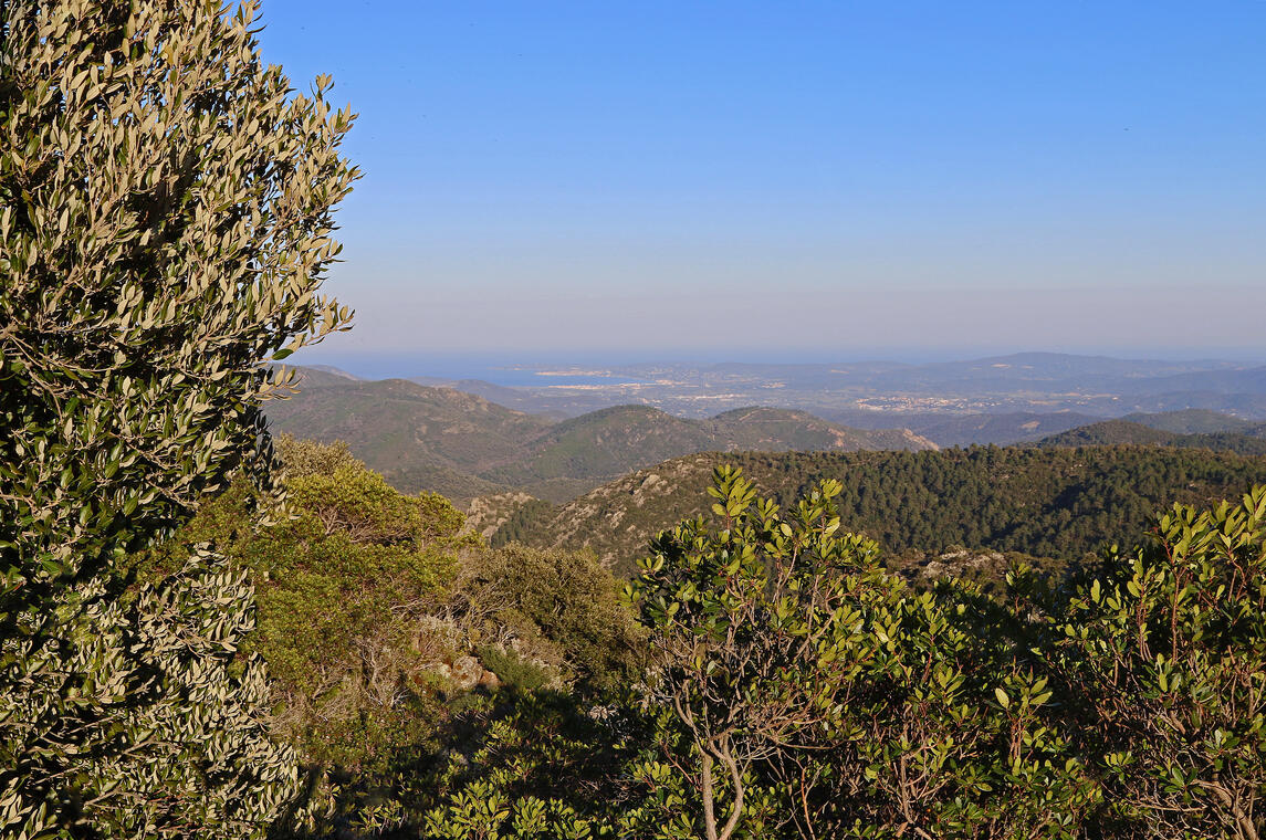 Randonnée de la Garde-Freinet à Grimaud