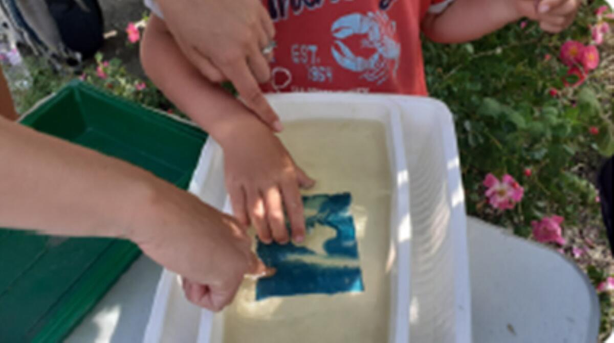 Cyanotype