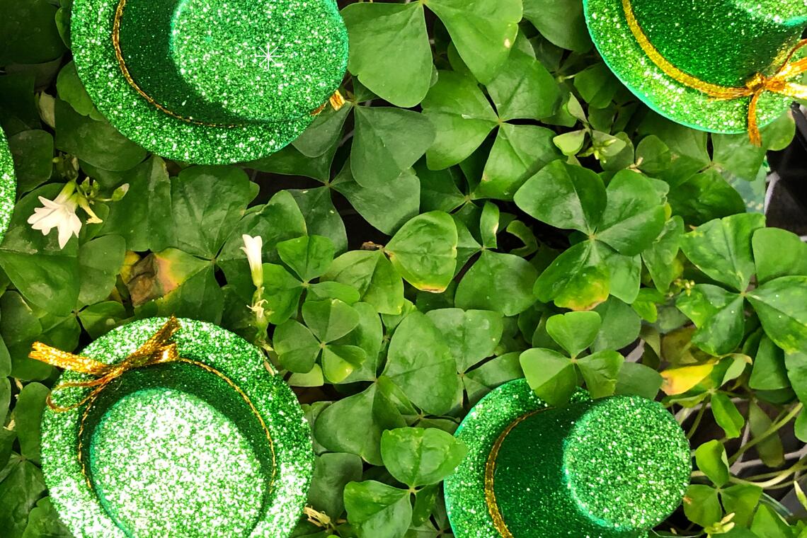 Fête de la Saint Patrick_Veauche