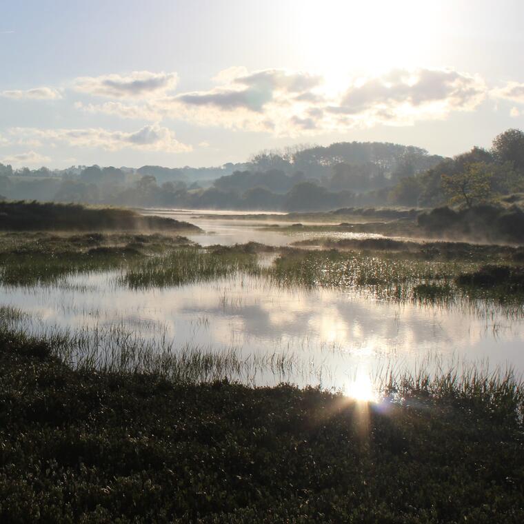 Marais salants