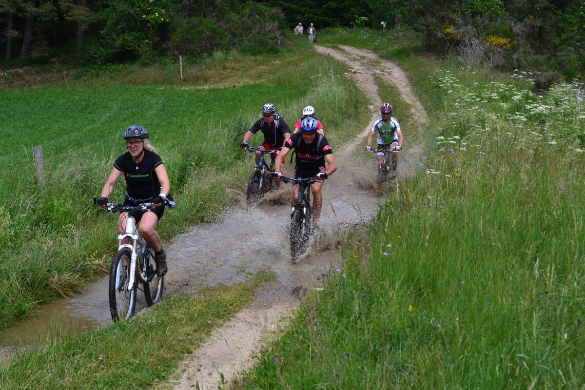 Balades VTT Roue Libre Usson en Forez Loire Tourisme Balades VTT Roue Libre Usson en Forez Loire Tourisme