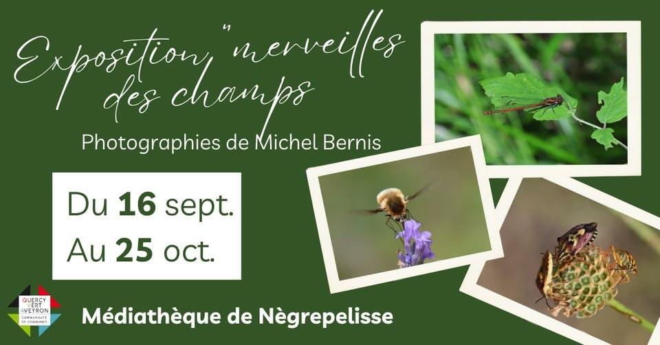 Exposition de photos "merveilles des champs"_Nègrepelisse