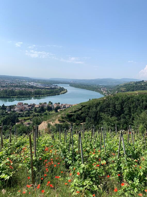 Boucle Vérin - Sainte-Croix-En-Jarez